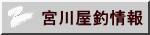 {쉮ޏ